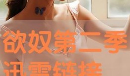 欲奴 在线观看,在线观看，揭秘欲望深处的奴役与救赎